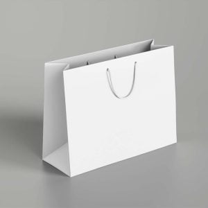 White Paper Shopping Bags